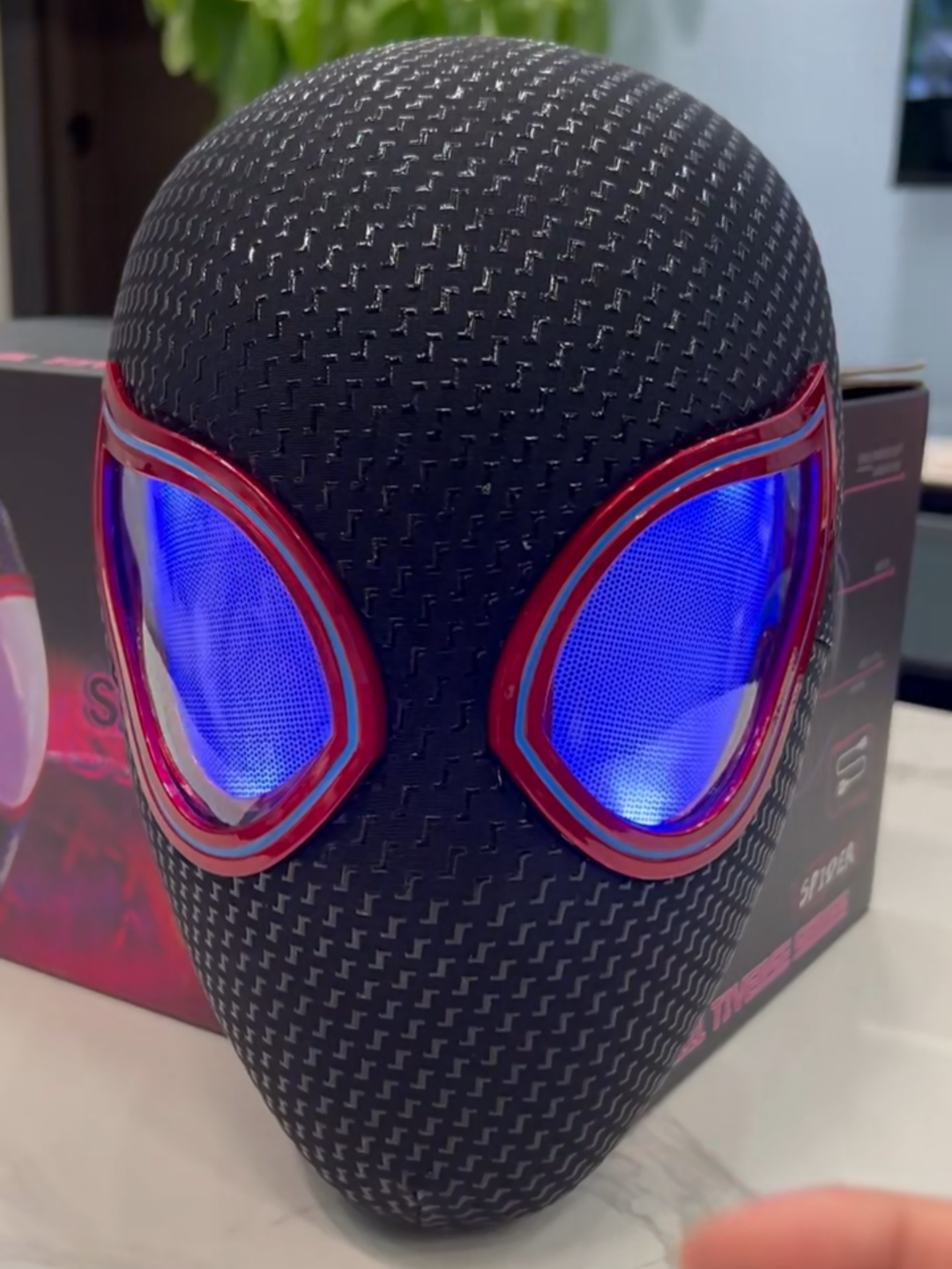 Spider Verse Mask